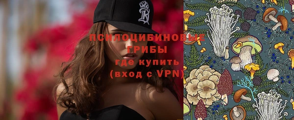 гашик Абаза