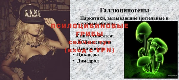 PSILOCYBIN Абинск