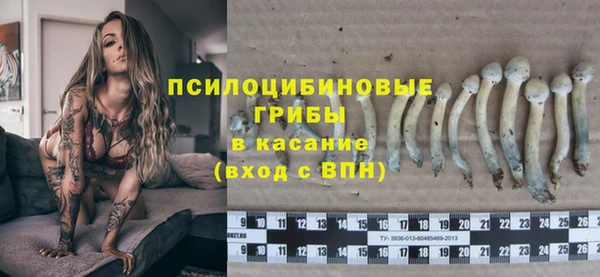 гашик Абаза