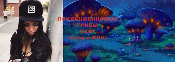 дживик Каменногорск