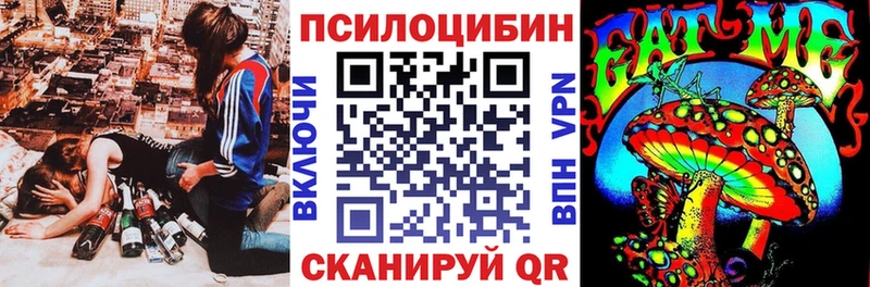 Псилоцибиновые грибы GOLDEN TEACHER  продажа наркотиков  Комсомольск-на-Амуре 